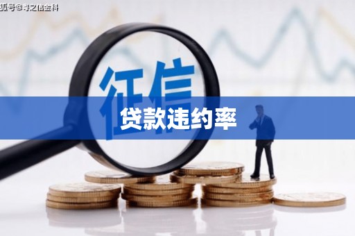 沂水贷款违约率