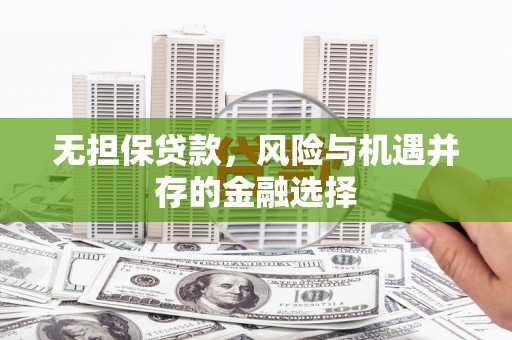 沂水无担保贷款，风险与机遇并存的金融选择