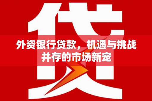 沂水外资银行贷款，机遇与挑战并存的市场新宠