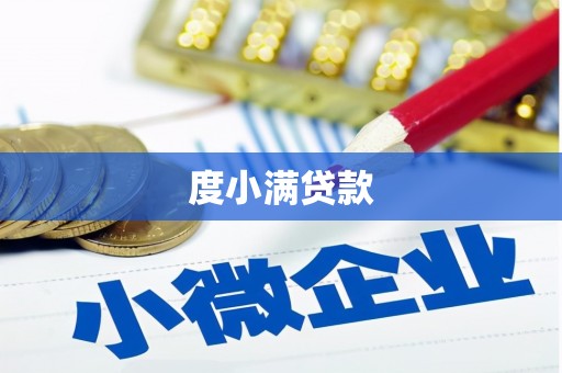 沂水度小满贷款