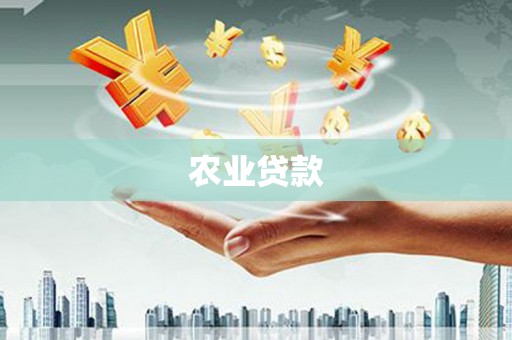 沂水农业贷款