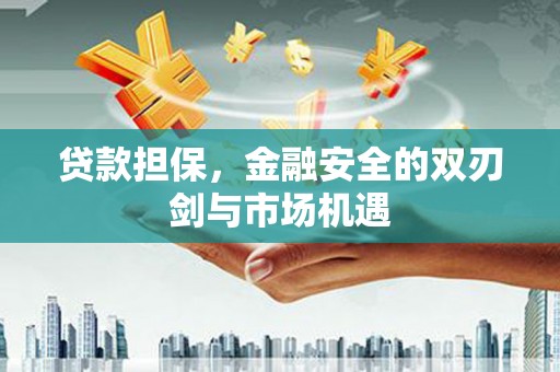 沂水贷款担保，金融安全的双刃剑与市场机遇