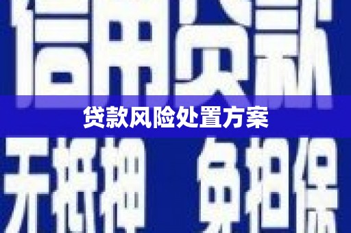 沂水贷款风险处置方案