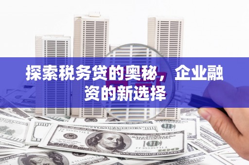 沂水探索税务贷的奥秘，企业融资的新选择
