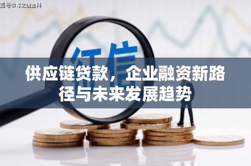 沂水供应链贷款，企业融资新路径与未来发展趋势