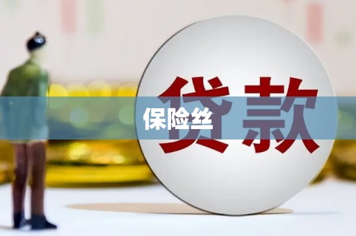 沂水保险丝