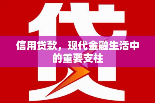 沂水信用贷款，现代金融生活中的重要支柱