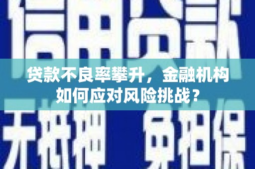 沂水贷款不良率攀升，金融机构如何应对风险挑战？