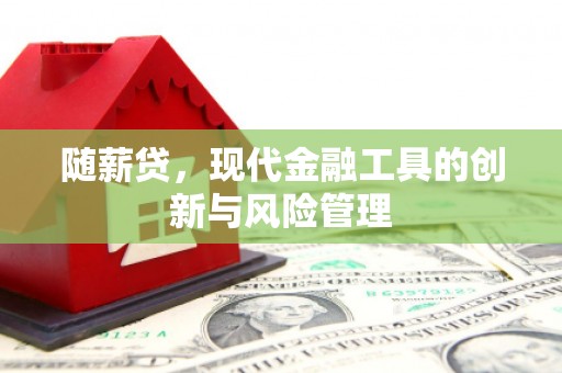 沂水随薪贷，现代金融工具的创新与风险管理