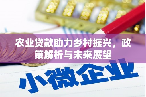 沂水农业贷款助力乡村振兴，政策解析与未来展望