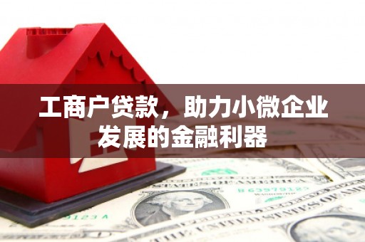 沂水工商户贷款，助力小微企业发展的金融利器