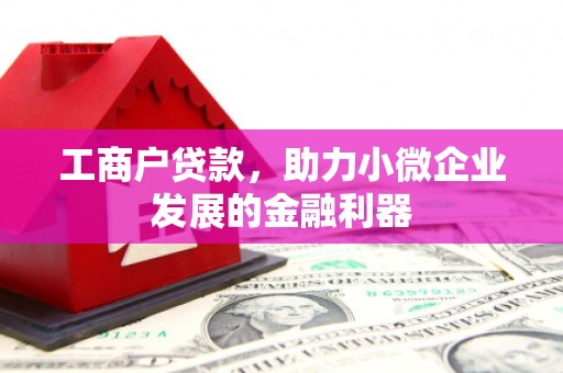 沂水工商户贷款，助力小微企业发展的金融利器