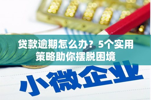 沂水贷款逾期怎么办？5个实用策略助你摆脱困境