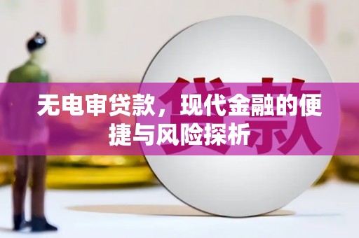 沂水无电审贷款，现代金融的便捷与风险探析