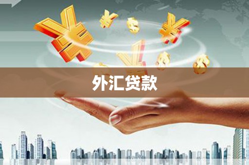 沂水外汇贷款