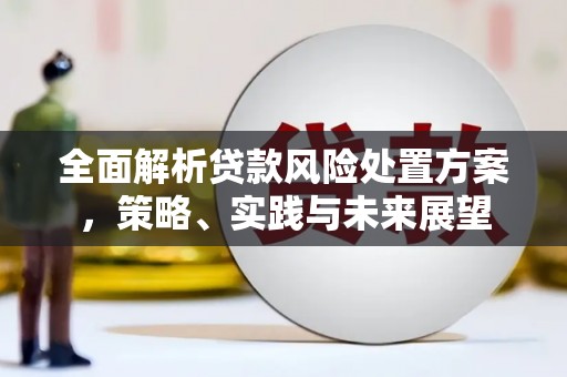 沂水全面解析贷款风险处置方案，策略、实践与未来展望