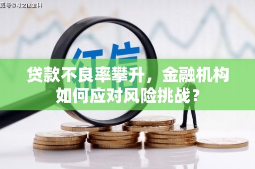 沂水贷款不良率攀升，金融机构如何应对风险挑战？