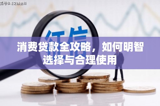 沂水消费贷款全攻略，如何明智选择与合理使用