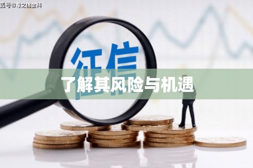 沂水了解其风险与机遇