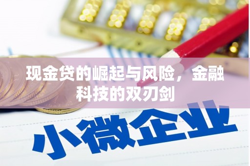 沂水现金贷的崛起与风险，金融科技的双刃剑