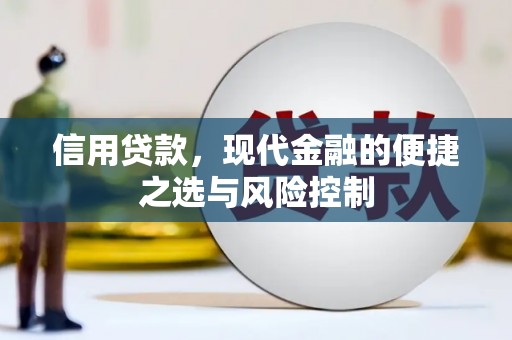 沂水信用贷款，现代金融的便捷之选与风险控制