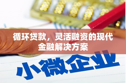 沂水循环贷款，灵活融资的现代金融解决方案