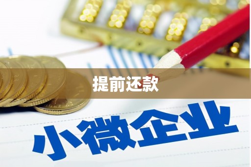 沂水提前还款