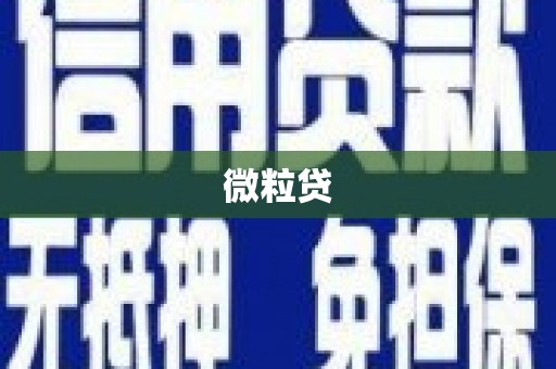 沂水微粒贷