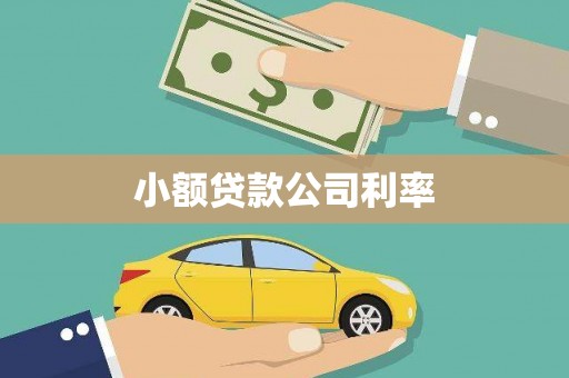 沂水小额贷款公司利率