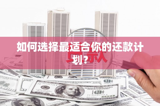 沂水如何选择最适合你的还款计划？