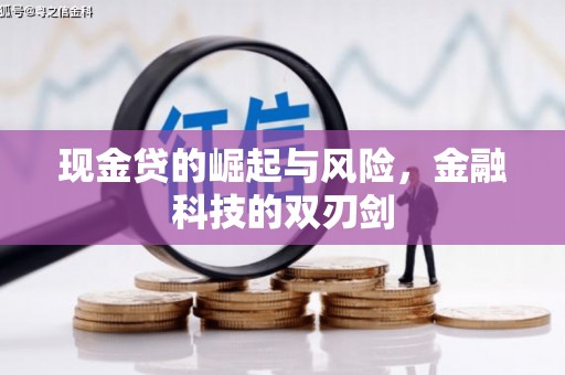沂水现金贷的崛起与风险，金融科技的双刃剑