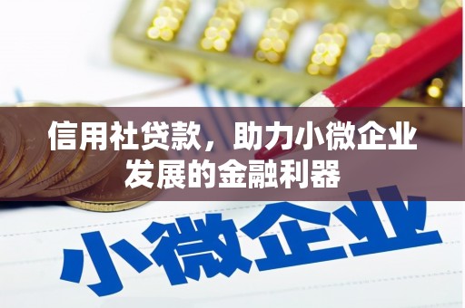沂水信用社贷款，助力小微企业发展的金融利器