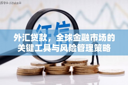 沂水外汇贷款，全球金融市场的关键工具与风险管理策略