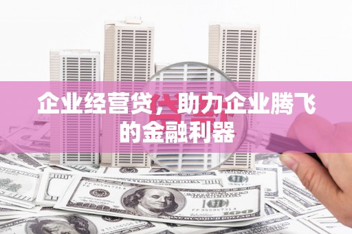 沂水企业经营贷，助力企业腾飞的金融利器