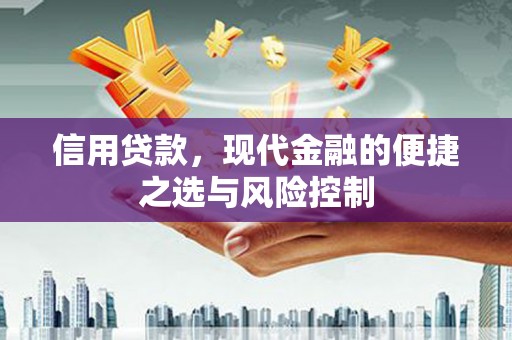 沂水信用贷款，现代金融的便捷之选与风险控制
