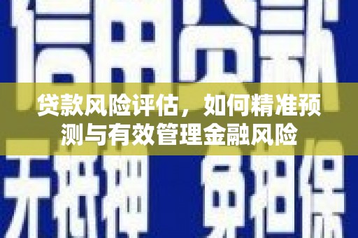 沂水贷款风险评估，如何精准预测与有效管理金融风险