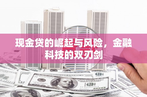 沂水现金贷的崛起与风险，金融科技的双刃剑