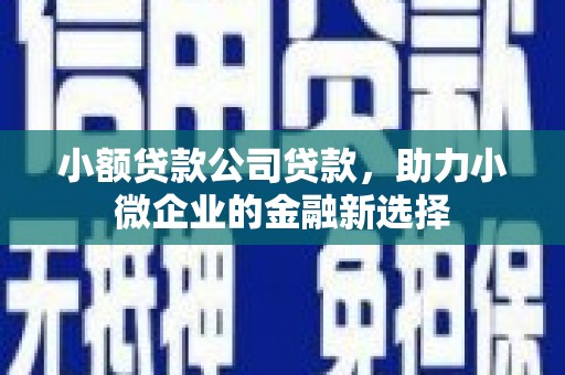 沂水小额贷款公司贷款，助力小微企业的金融新选择