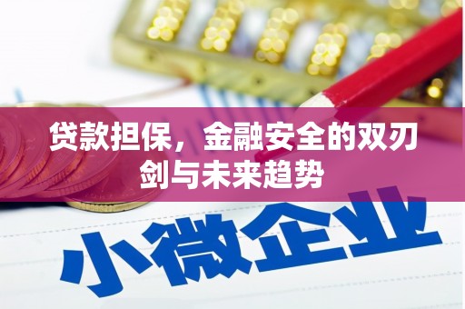 沂水贷款担保，金融安全的双刃剑与未来趋势