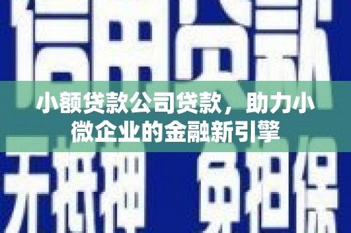 沂水小额贷款公司贷款，助力小微企业的金融新引擎