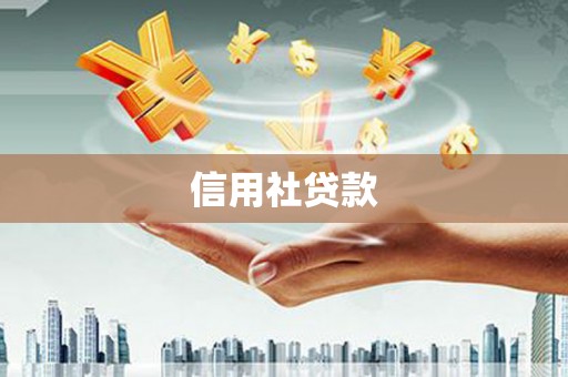 沂水信用社贷款