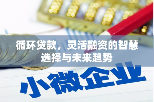 沂水循环贷款，灵活融资的智慧选择与未来趋势