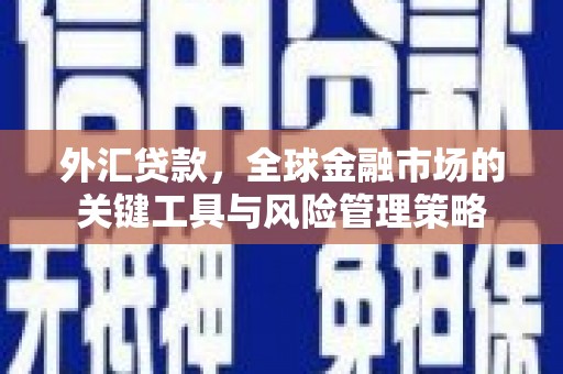 沂水外汇贷款，全球金融市场的关键工具与风险管理策略