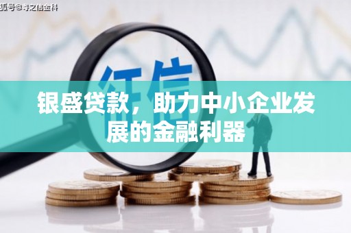 沂水银盛贷款，助力中小企业发展的金融利器