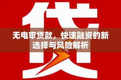 沂水无电审贷款，快速融资的新选择与风险解析