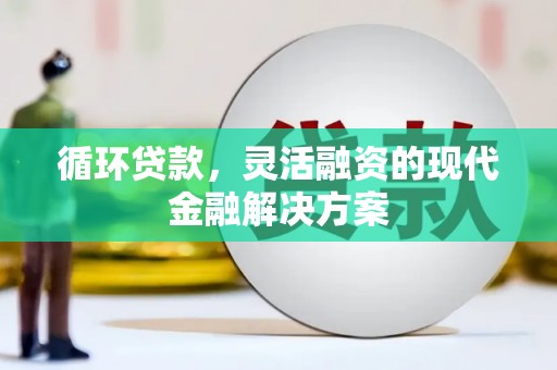 沂水循环贷款，灵活融资的现代金融解决方案