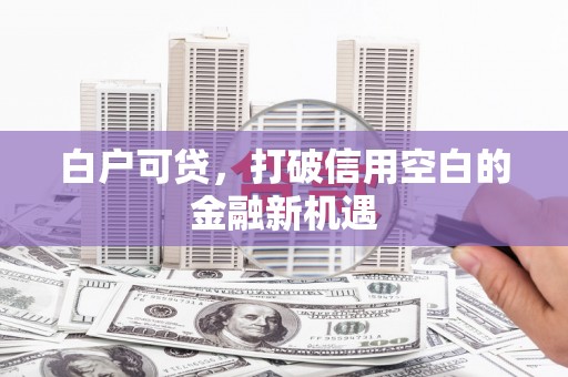 沂水白户可贷，打破信用空白的金融新机遇