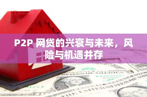沂水P2P 网贷的兴衰与未来，风险与机遇并存