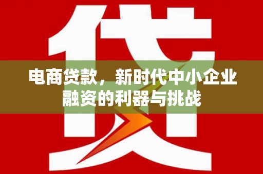 沂水电商贷款，新时代中小企业融资的利器与挑战
