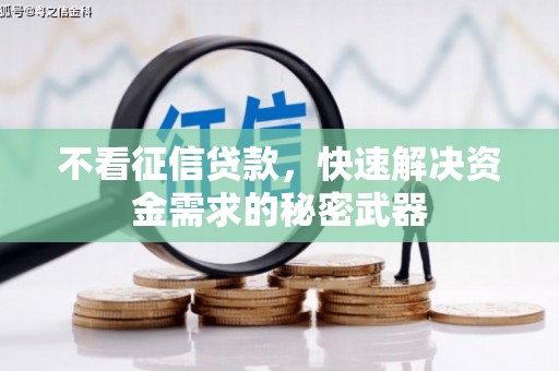 沂水不看征信贷款，快速解决资金需求的秘密武器